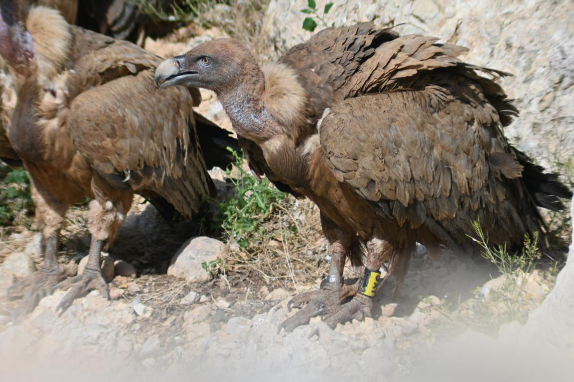 Klicke auf die Grafik für eine vergrößerte Ansicht

Name: DSC_3303.jpg
Ansichten: 0
Größe: 219,1 KB
ID: 3354494