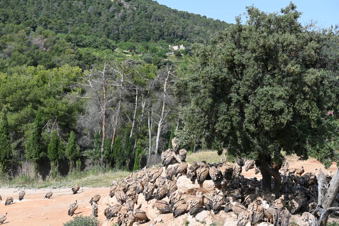 Klicke auf die Grafik für eine vergrößerte Ansicht

Name: DSC_3322.jpg
Ansichten: 0
Größe: 401,6 KB
ID: 3354495