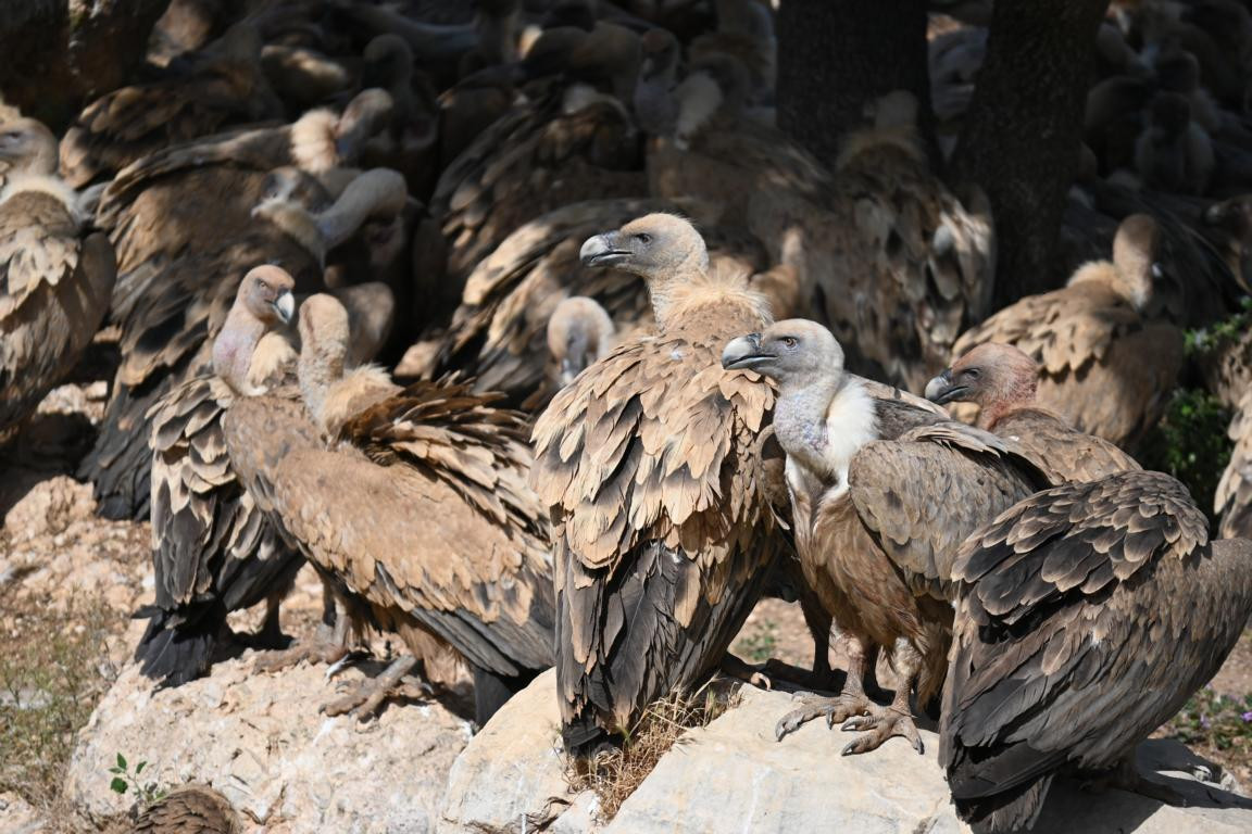 Klicke auf die Grafik für eine vergrößerte Ansicht

Name: DSC_3327.jpg
Ansichten: 0
Größe: 241,9 KB
ID: 3354496