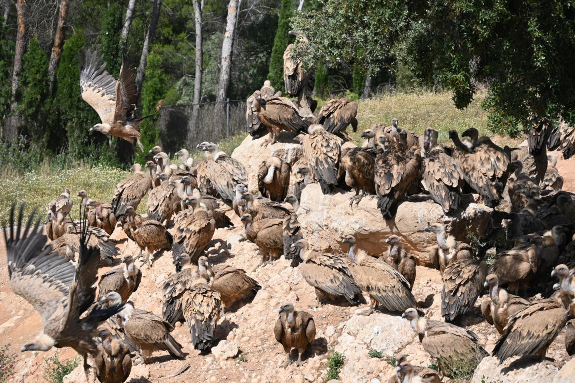 Klicke auf die Grafik für eine vergrößerte Ansicht

Name: DSC_3412.jpg
Ansichten: 0
Größe: 378,1 KB
ID: 3354497