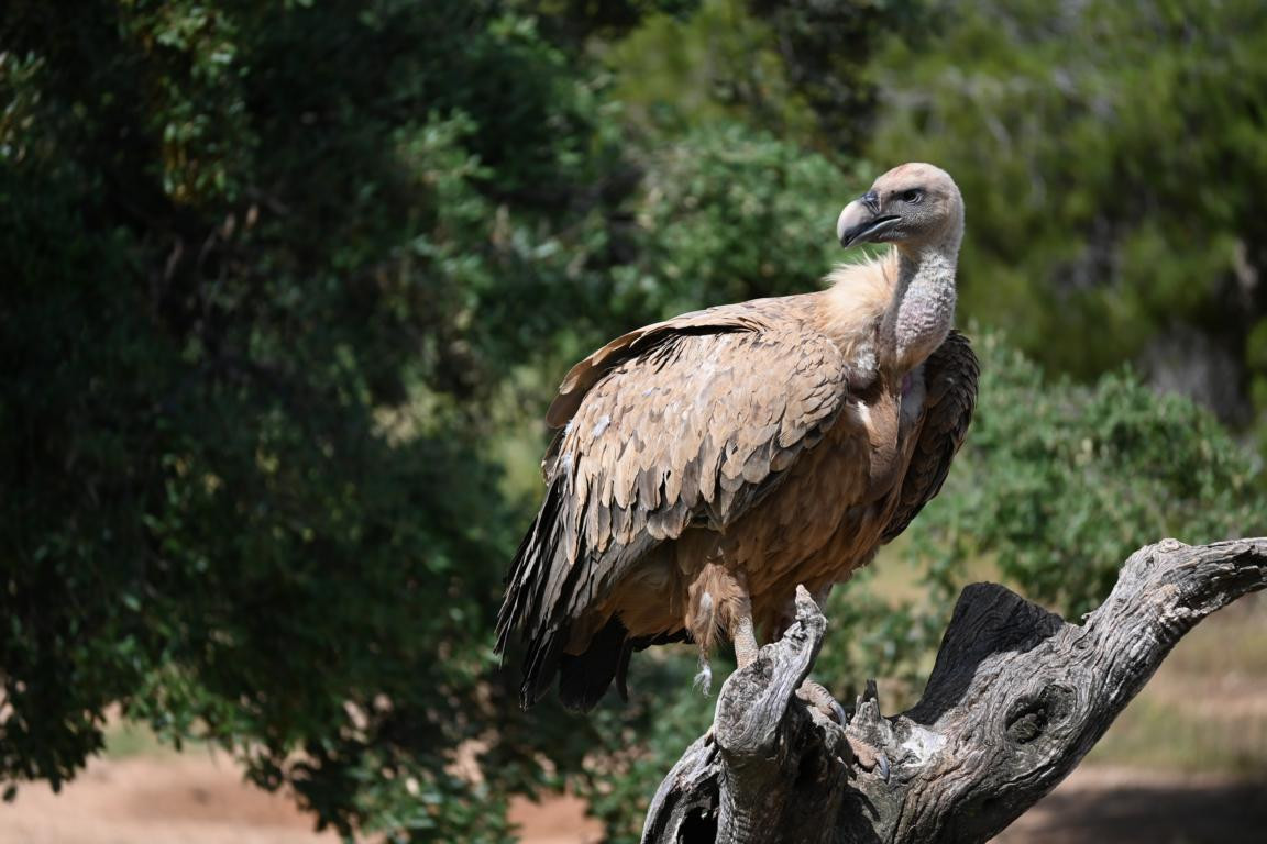 Klicke auf die Grafik für eine vergrößerte Ansicht

Name: DSC_3503.jpg
Ansichten: 0
Größe: 178,3 KB
ID: 3354498