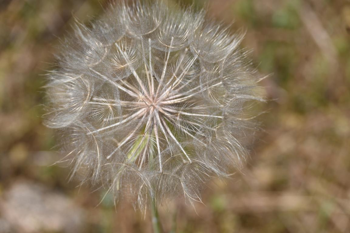 Klicke auf die Grafik für eine vergrößerte Ansicht

Name: DSC_3543.jpg
Ansichten: 85
Größe: 156,5 KB
ID: 3354596