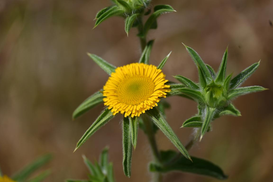 Klicke auf die Grafik für eine vergrößerte Ansicht

Name: DSC_3547.jpg
Ansichten: 82
Größe: 103,3 KB
ID: 3354598