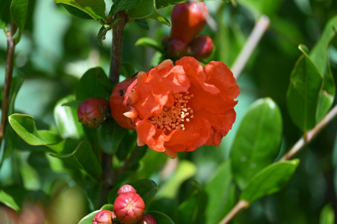 Klicke auf die Grafik für eine vergrößerte Ansicht

Name: DSC_3556.jpg
Ansichten: 83
Größe: 140,4 KB
ID: 3354600