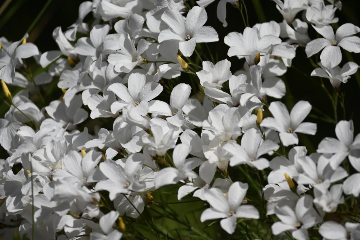 Klicke auf die Grafik für eine vergrößerte Ansicht

Name: DSC_3562.jpg
Ansichten: 82
Größe: 175,4 KB
ID: 3354602