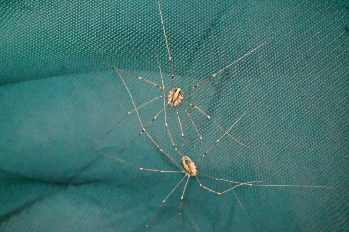 Klicke auf die Grafik für eine vergrößerte Ansicht

Name: DSC_3583.jpg
Ansichten: 81
Größe: 278,6 KB
ID: 3354603