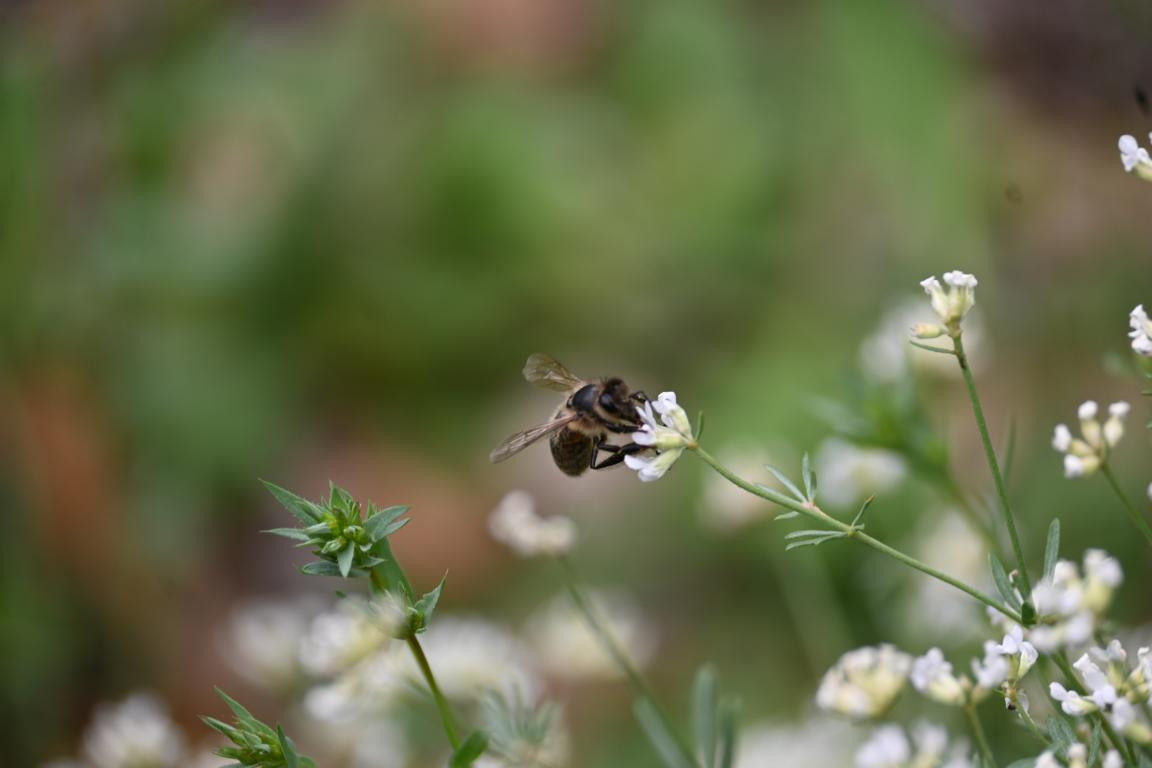 Klicke auf die Grafik für eine vergrößerte Ansicht

Name: DSC_3708.jpg
Ansichten: 81
Größe: 87,8 KB
ID: 3354605