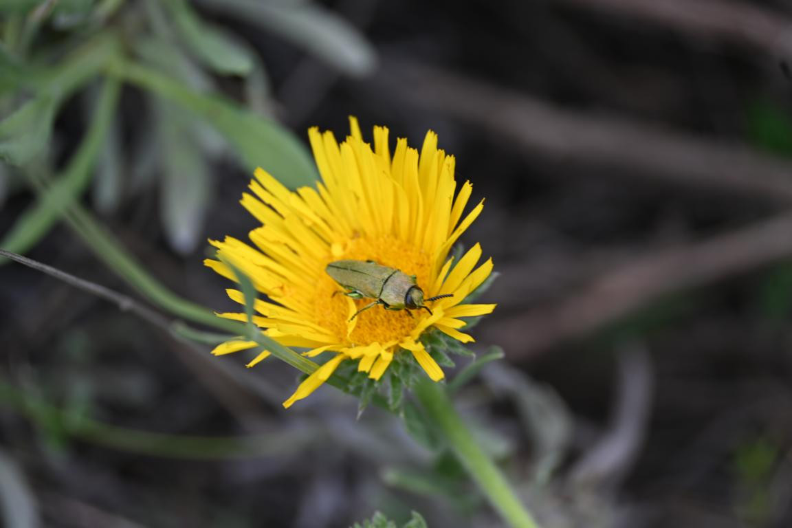 Klicke auf die Grafik für eine vergrößerte Ansicht

Name: DSC_3718.jpg
Ansichten: 82
Größe: 98,4 KB
ID: 3354606