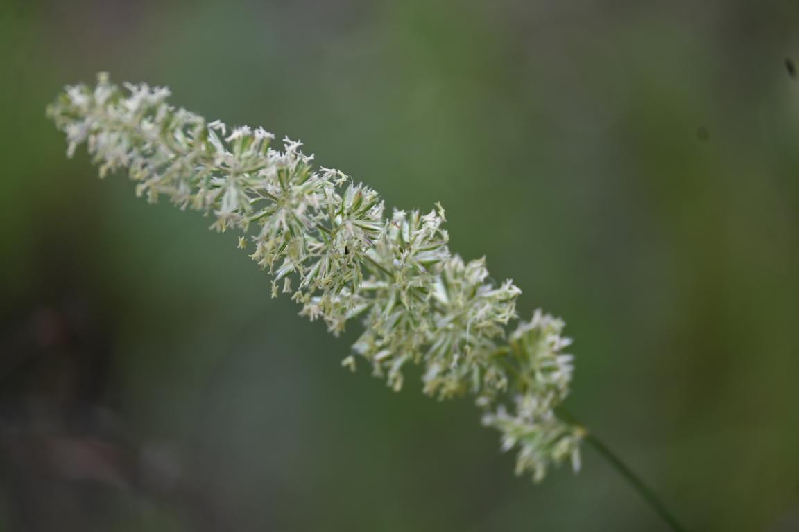 Klicke auf die Grafik für eine vergrößerte Ansicht

Name: DSC_3729.jpg
Ansichten: 80
Größe: 73,3 KB
ID: 3354607