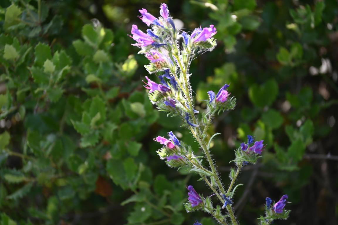 Klicke auf die Grafik für eine vergrößerte Ansicht

Name: DSC_3742.jpg
Ansichten: 83
Größe: 161,0 KB
ID: 3354608