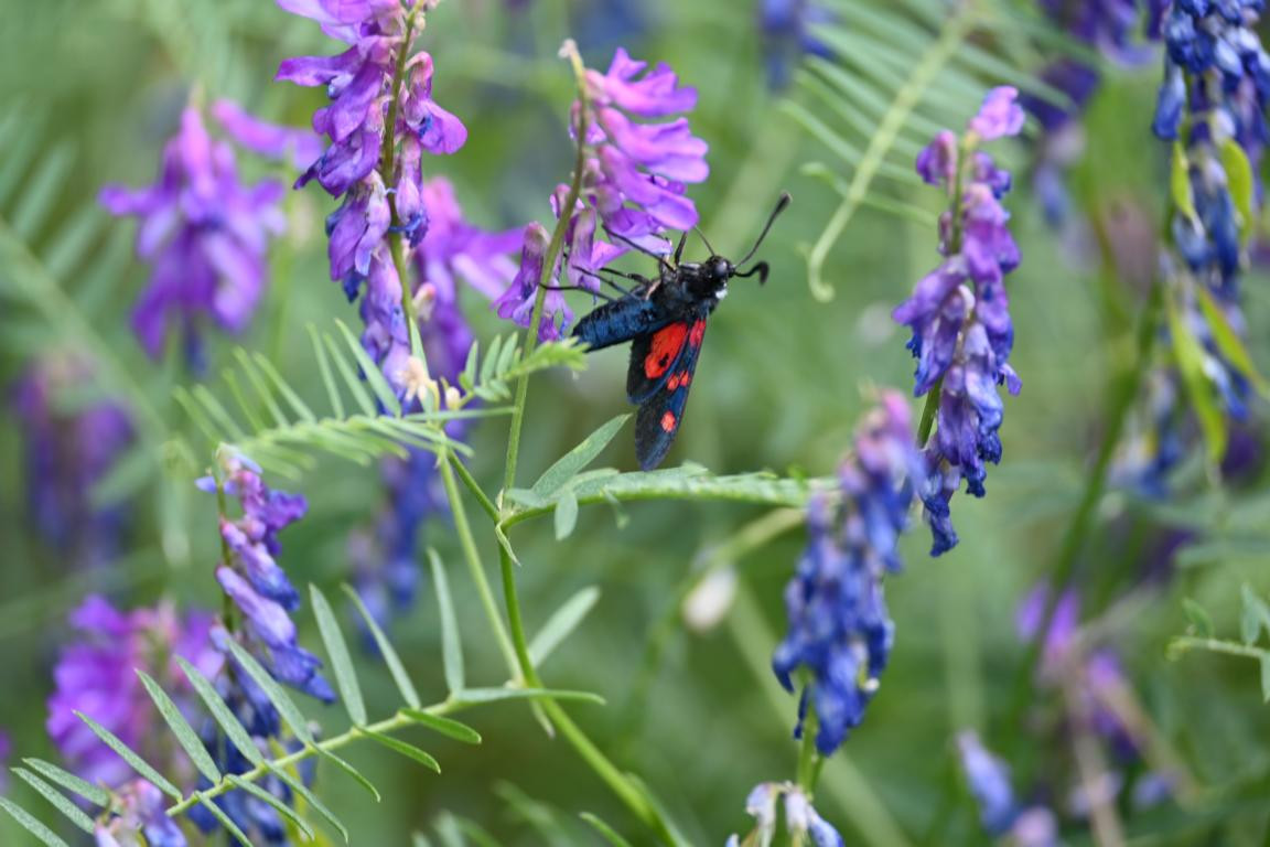 Klicke auf die Grafik für eine vergrößerte Ansicht

Name: DSC_3764.jpg
Ansichten: 83
Größe: 171,8 KB
ID: 3354609