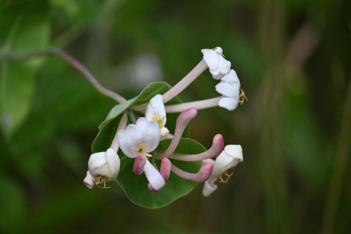 Klicke auf die Grafik für eine vergrößerte Ansicht

Name: DSC_3770.jpg
Ansichten: 80
Größe: 79,5 KB
ID: 3354610