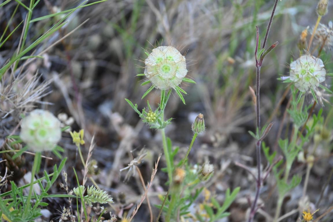 Klicke auf die Grafik für eine vergrößerte Ansicht

Name: DSC_3795.jpg
Ansichten: 82
Größe: 184,4 KB
ID: 3354611