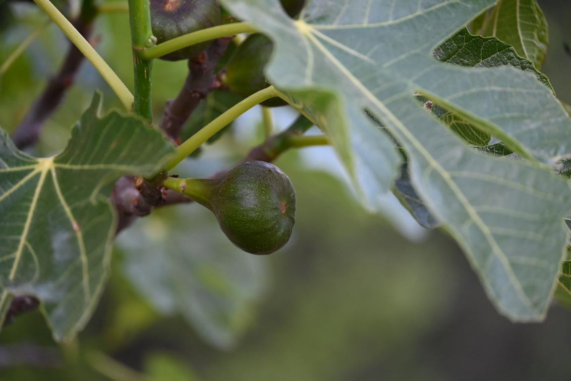 Klicke auf die Grafik für eine vergrößerte Ansicht

Name: DSC_3801.jpg
Ansichten: 81
Größe: 116,5 KB
ID: 3354612