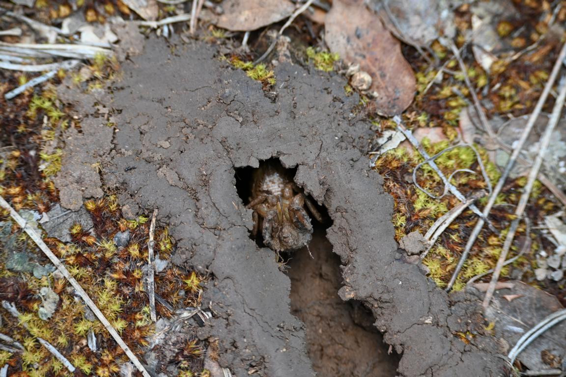 Klicke auf die Grafik für eine vergrößerte Ansicht

Name: DSC_3823.jpg
Ansichten: 80
Größe: 293,8 KB
ID: 3354613