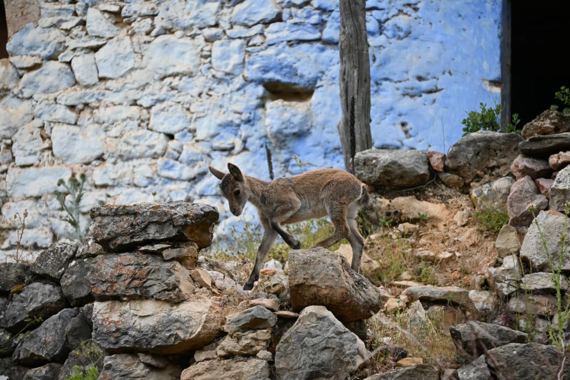 Klicke auf die Grafik für eine vergrößerte Ansicht

Name: DSC_3832.jpg
Ansichten: 81
Größe: 280,1 KB
ID: 3354614