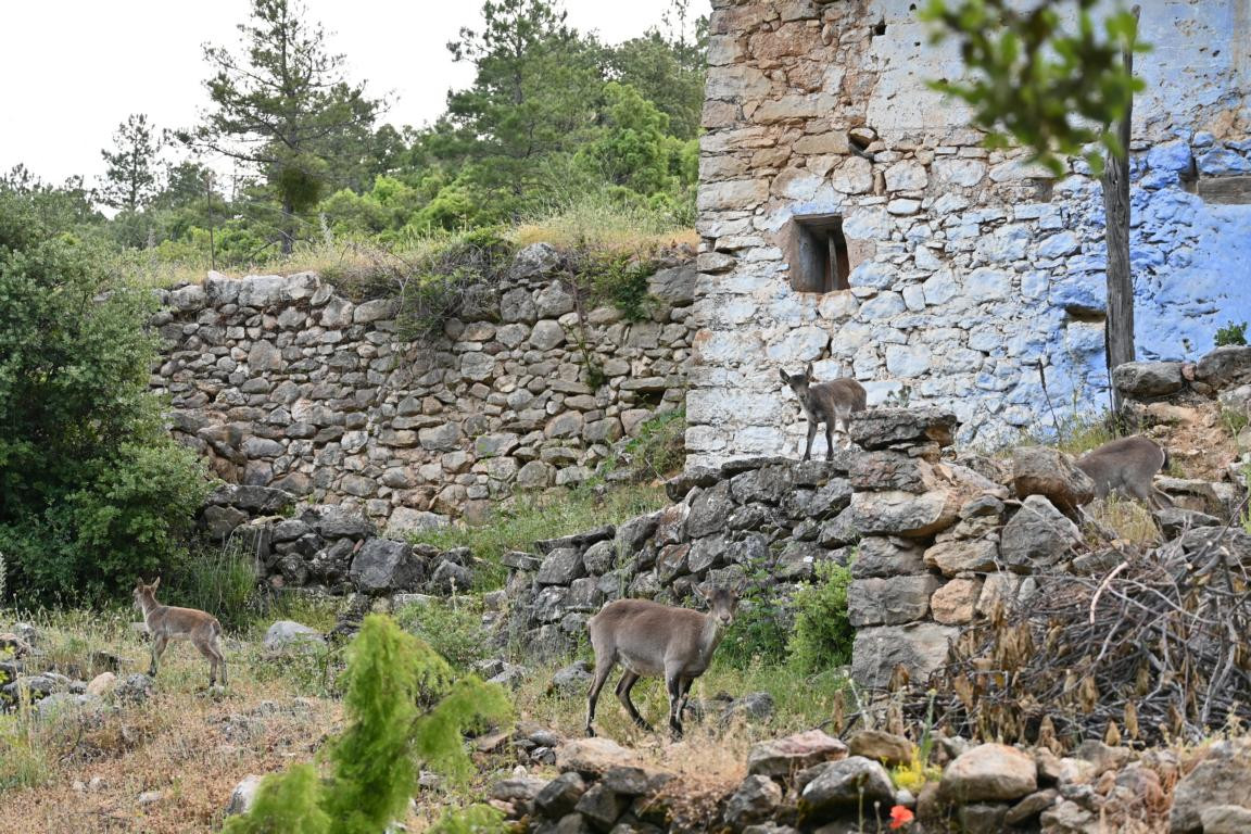 Klicke auf die Grafik für eine vergrößerte Ansicht

Name: DSC_3838.jpg
Ansichten: 80
Größe: 378,7 KB
ID: 3354615