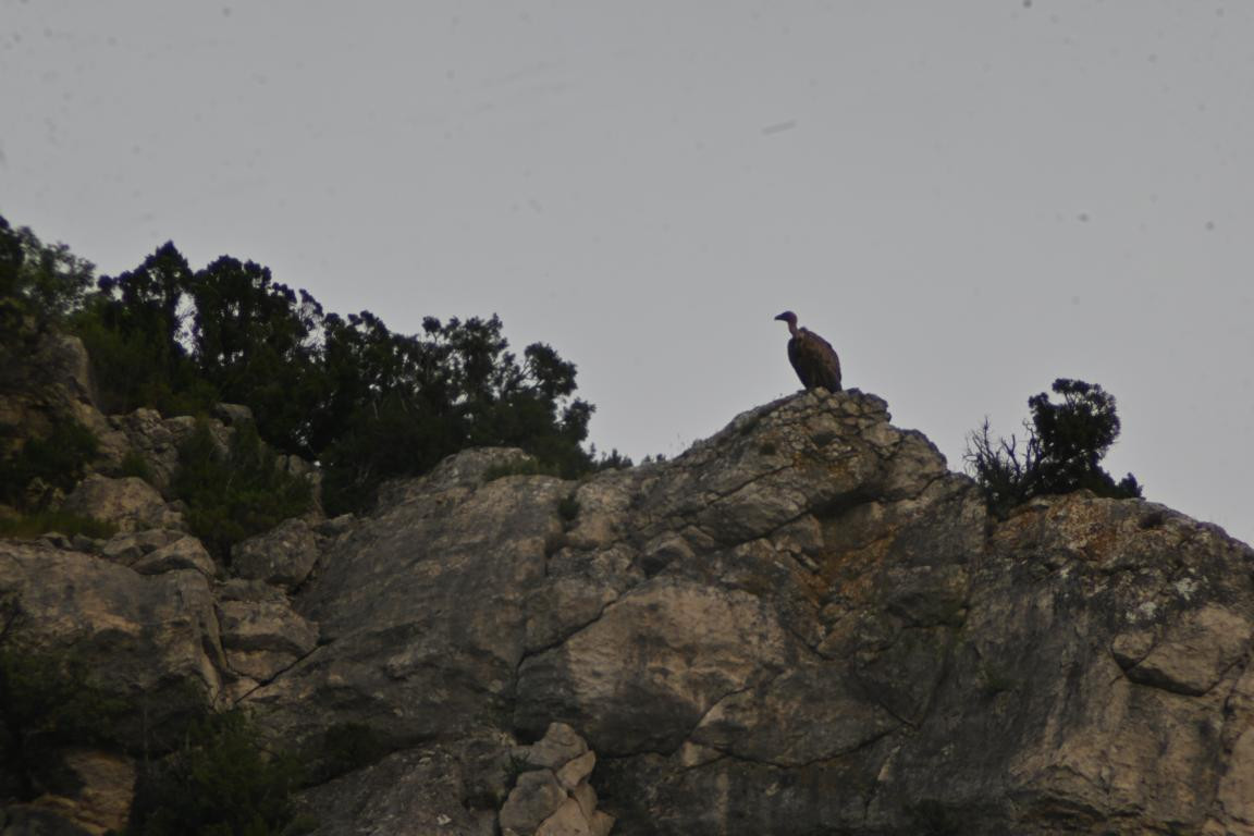 Klicke auf die Grafik für eine vergrößerte Ansicht

Name: DSC_3918.jpg
Ansichten: 81
Größe: 122,9 KB
ID: 3354616