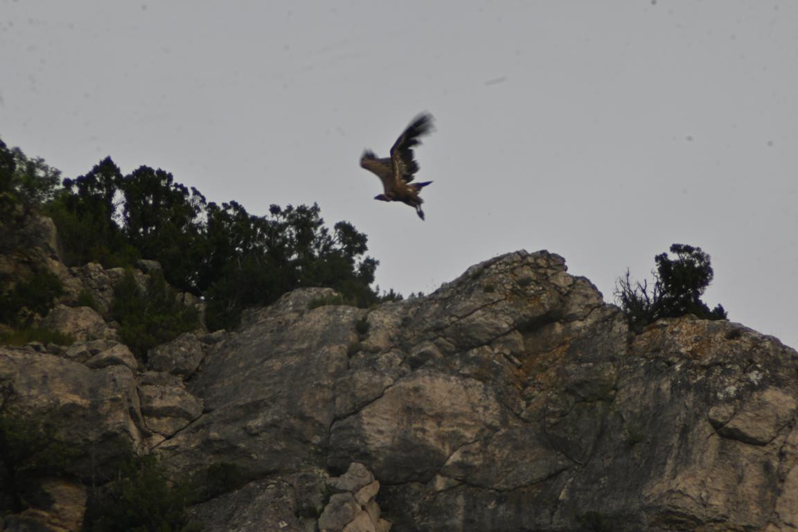 Klicke auf die Grafik für eine vergrößerte Ansicht

Name: DSC_3921.jpg
Ansichten: 81
Größe: 125,4 KB
ID: 3354617