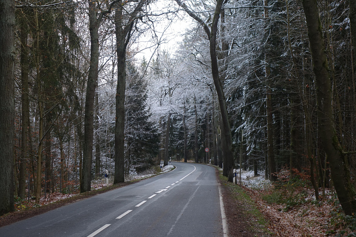 Klicke auf die Grafik für eine vergrößerte Ansicht  Name: Schnee-gezuckerte Wälder in Oberfranken.jpg Ansichten: 0 Größe: 1.003,6 KB ID: 3354720