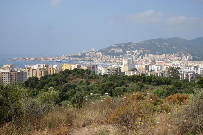 Klicke auf die Grafik für eine vergrößerte Ansicht  Name: im Kratzbusch oberhalb von Ajaccio auf Korsika.jpg Ansichten: 0 Größe: 824,7 KB ID: 3354725