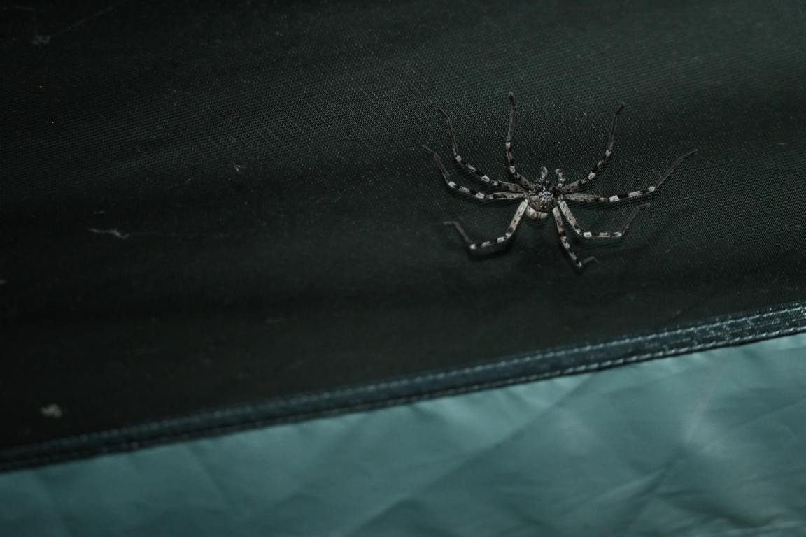 Klicke auf die Grafik für eine vergrößerte Ansicht

Name: DSC_3997.jpg
Ansichten: 59
Größe: 104,9 KB
ID: 3354749