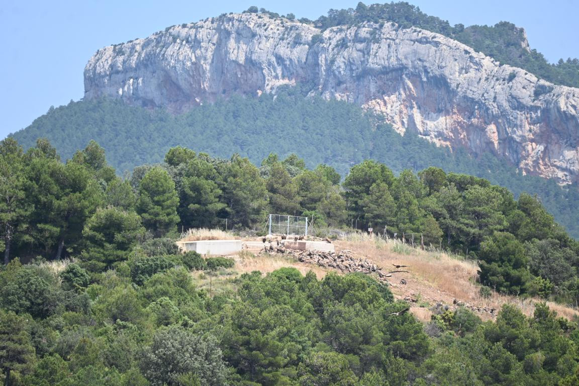 Klicke auf die Grafik für eine vergrößerte Ansicht

Name: DSC_4021.jpg
Ansichten: 59
Größe: 297,7 KB
ID: 3354751