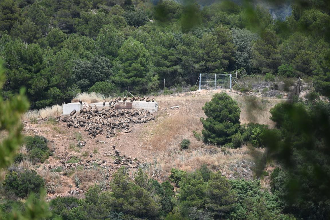 Klicke auf die Grafik für eine vergrößerte Ansicht

Name: DSC_4025.jpg
Ansichten: 58
Größe: 292,2 KB
ID: 3354752