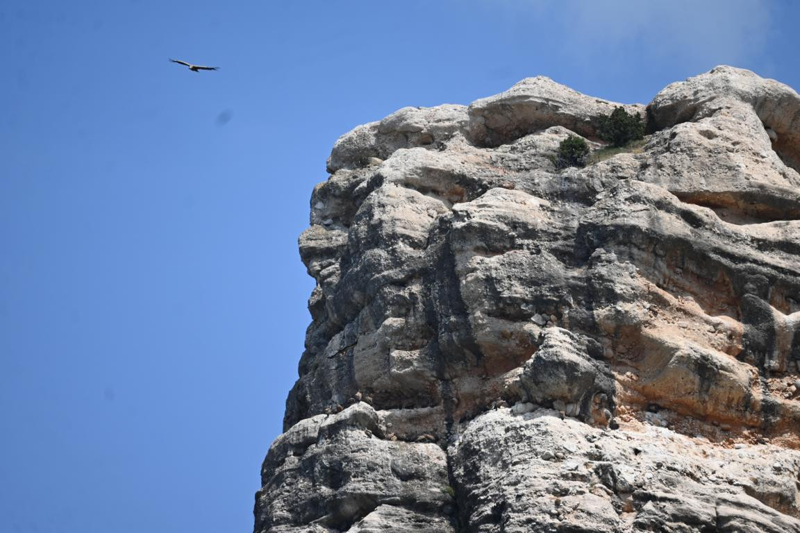 Klicke auf die Grafik für eine vergrößerte Ansicht

Name: DSC_4029.jpg
Ansichten: 60
Größe: 200,9 KB
ID: 3354753