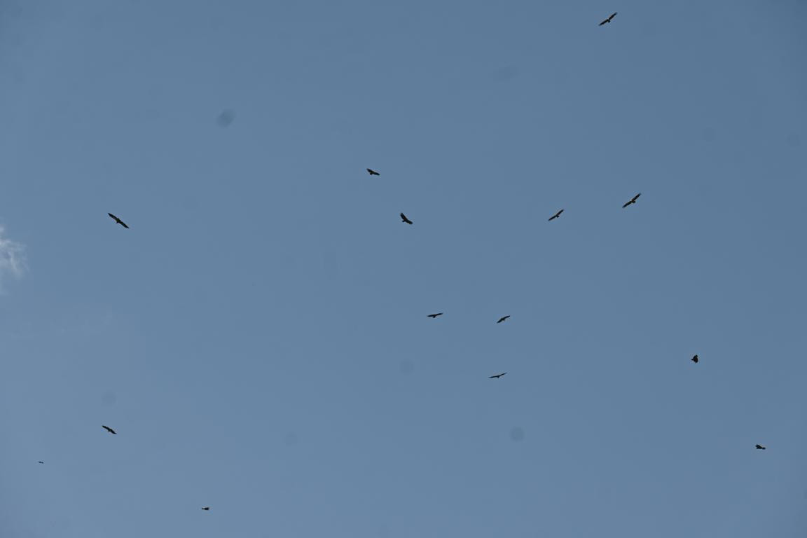 Klicke auf die Grafik für eine vergrößerte Ansicht

Name: DSC_4035.jpg
Ansichten: 58
Größe: 28,6 KB
ID: 3354754