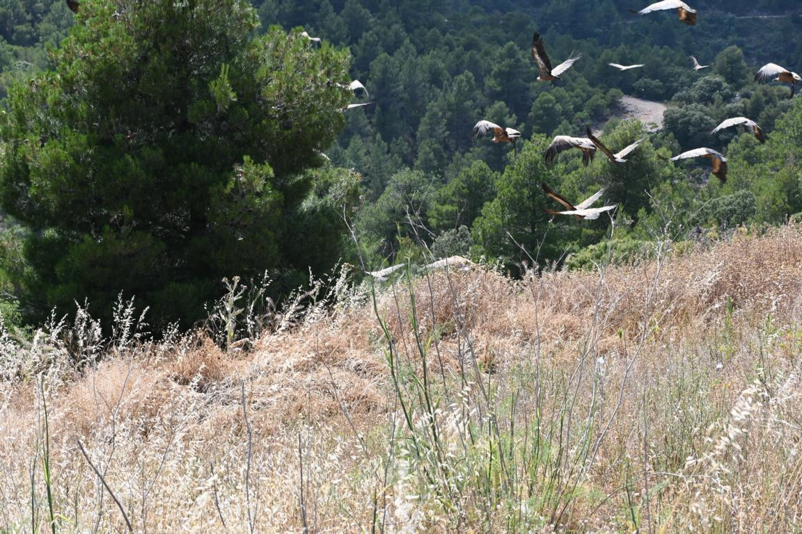 Klicke auf die Grafik für eine vergrößerte Ansicht

Name: DSC_4059.jpg
Ansichten: 59
Größe: 366,9 KB
ID: 3354755