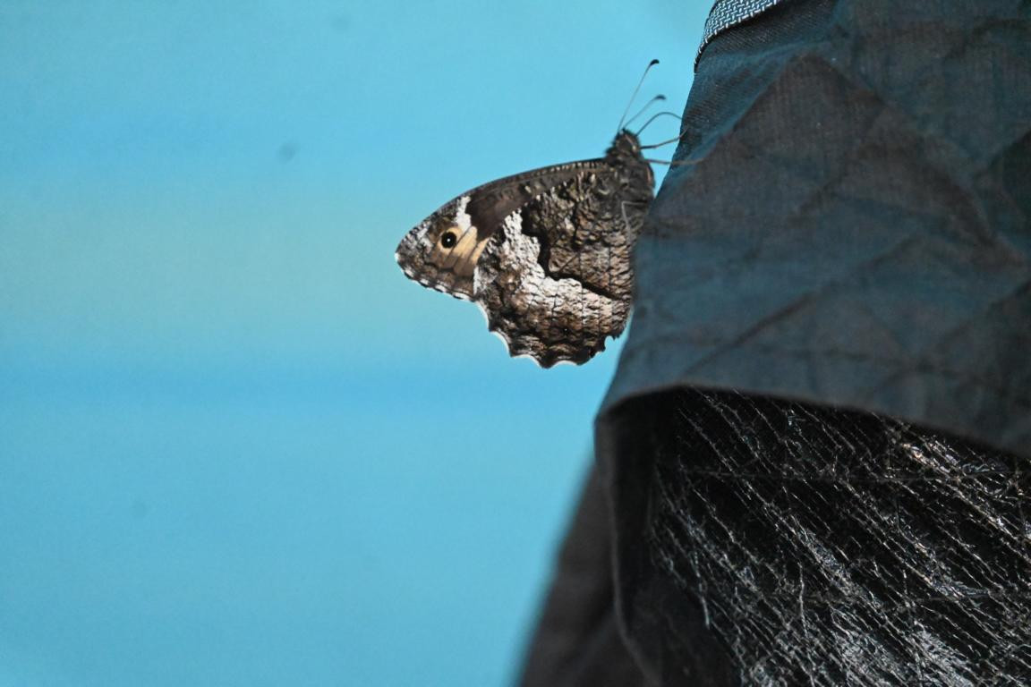 Klicke auf die Grafik für eine vergrößerte Ansicht

Name: DSC_4090.jpg
Ansichten: 60
Größe: 119,6 KB
ID: 3354758