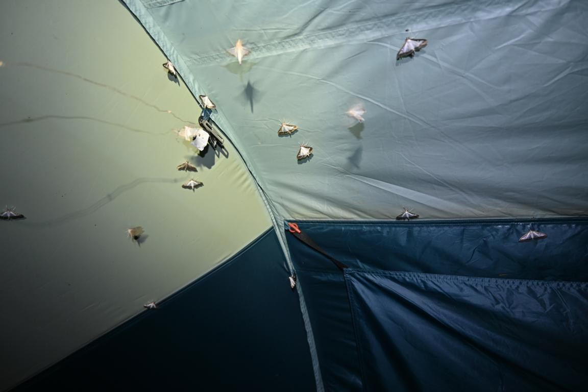 Klicke auf die Grafik für eine vergrößerte Ansicht

Name: DSC_4147.jpg
Ansichten: 59
Größe: 99,2 KB
ID: 3354762