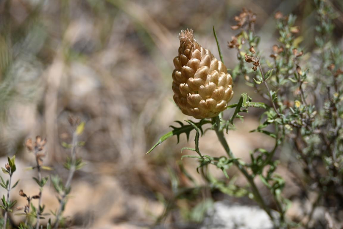 Klicke auf die Grafik für eine vergrößerte Ansicht

Name: DSC_4180.jpg
Ansichten: 60
Größe: 142,2 KB
ID: 3354765