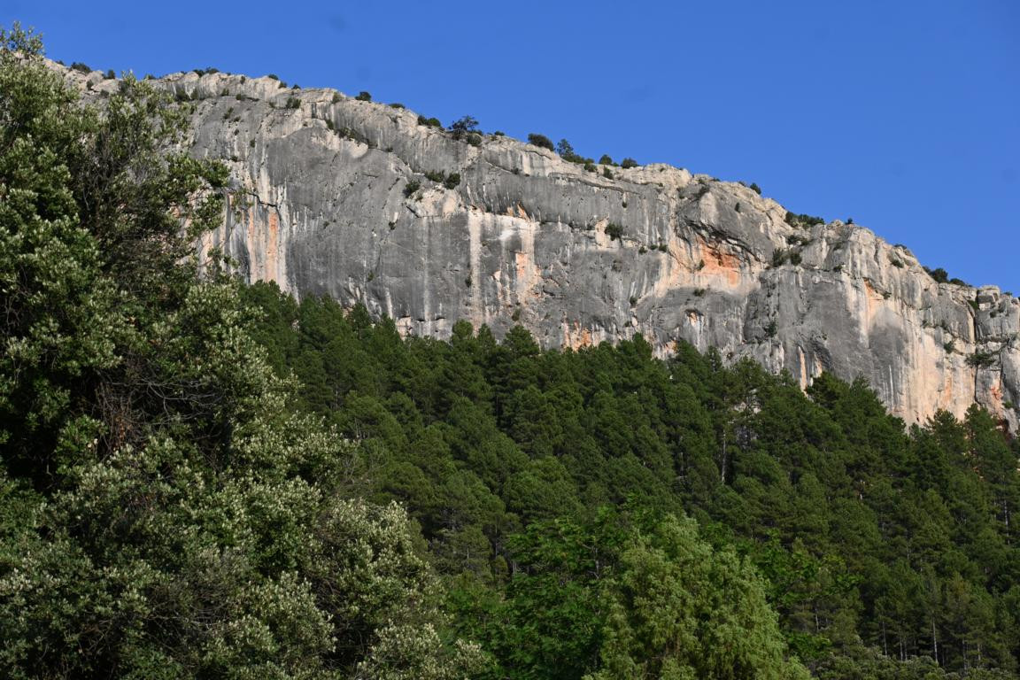 Klicke auf die Grafik für eine vergrößerte Ansicht

Name: DSC_4183.jpg
Ansichten: 59
Größe: 290,3 KB
ID: 3354767