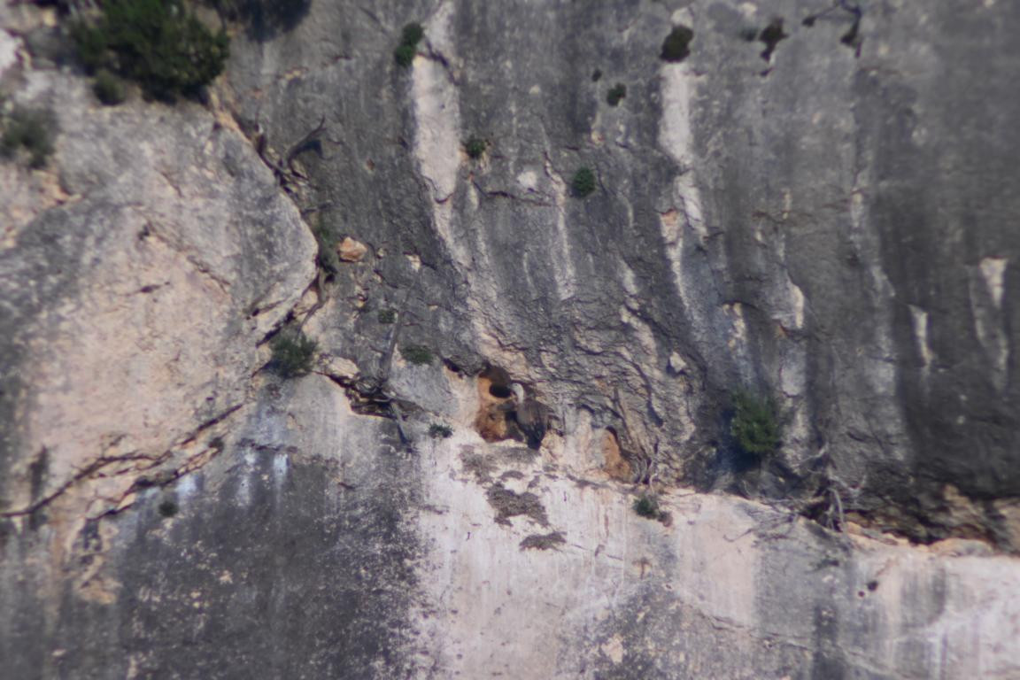 Klicke auf die Grafik für eine vergrößerte Ansicht

Name: DSC_4204.jpg
Ansichten: 60
Größe: 185,4 KB
ID: 3354768