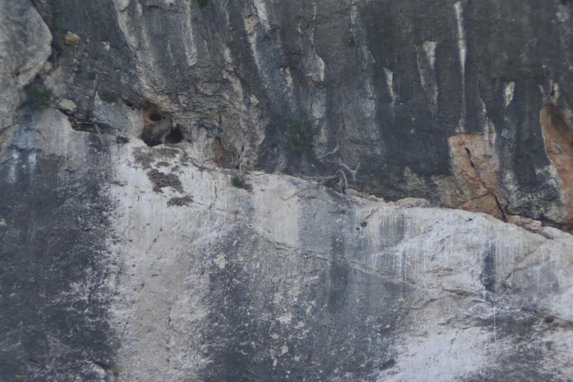 Klicke auf die Grafik für eine vergrößerte Ansicht

Name: DSC_4220.jpg
Ansichten: 60
Größe: 202,7 KB
ID: 3354769