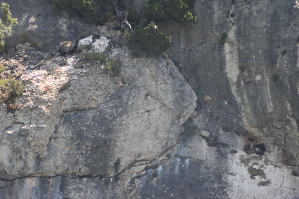 Klicke auf die Grafik für eine vergrößerte Ansicht

Name: DSC_4285.jpg
Ansichten: 60
Größe: 185,1 KB
ID: 3354770