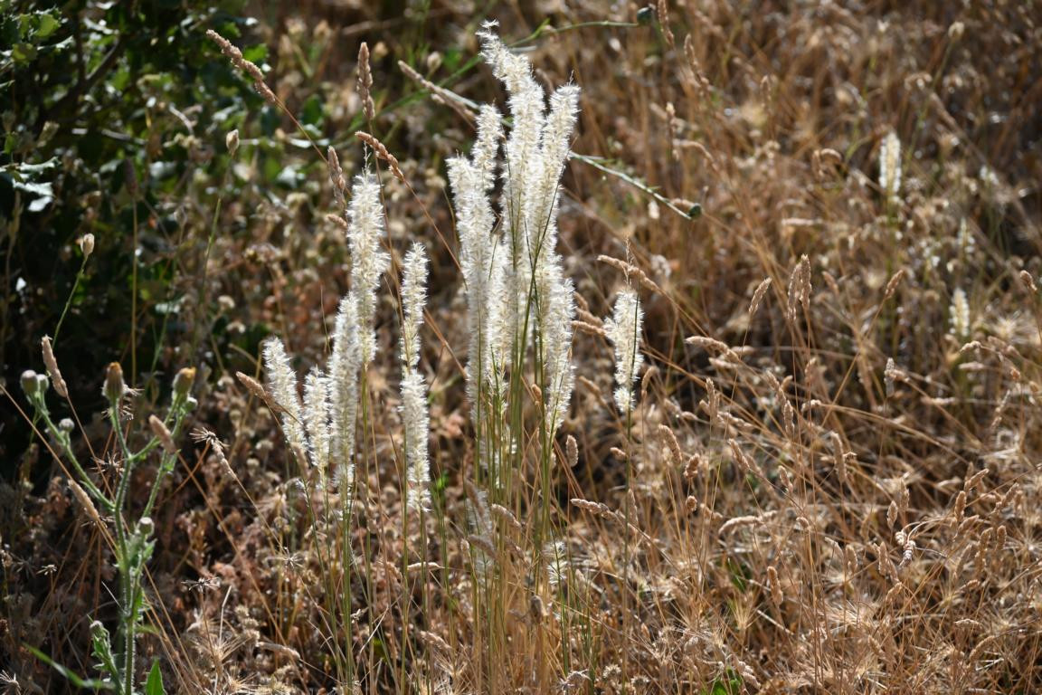 Klicke auf die Grafik für eine vergrößerte Ansicht

Name: DSC_4296.jpg
Ansichten: 59
Größe: 310,3 KB
ID: 3354771