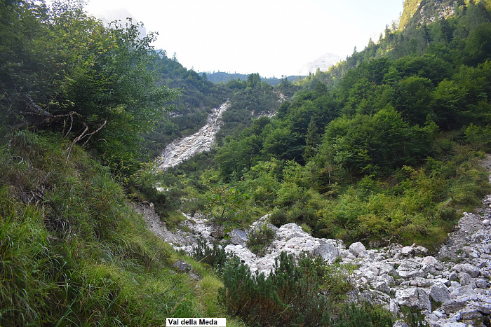 Klicke auf die Grafik für eine vergrößerte Ansicht

Name: DSC_0151.jpg
Ansichten: 299
Größe: 1,03 MB
ID: 3354905