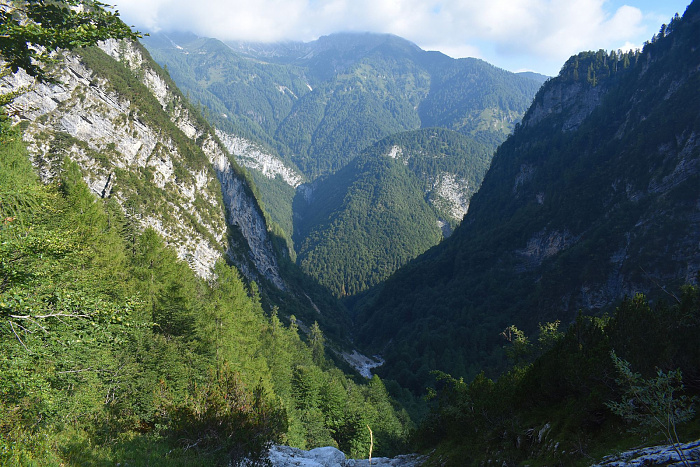 Klicke auf die Grafik für eine vergrößerte Ansicht

Name: DSC_0153.jpg
Ansichten: 291
Größe: 951,4 KB
ID: 3354906