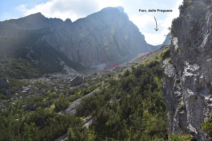 Klicke auf die Grafik für eine vergrößerte Ansicht

Name: DSC_0167.jpg
Ansichten: 287
Größe: 890,4 KB
ID: 3354910