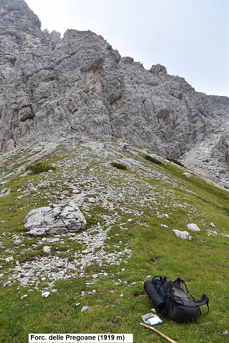 Klicke auf die Grafik für eine vergrößerte Ansicht

Name: DSC_0175.jpg
Ansichten: 290
Größe: 837,6 KB
ID: 3354907