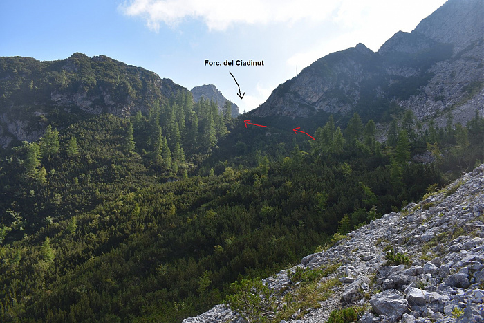 Klicke auf die Grafik für eine vergrößerte Ansicht

Name: DSC_0159.jpg
Ansichten: 287
Größe: 820,9 KB
ID: 3354911