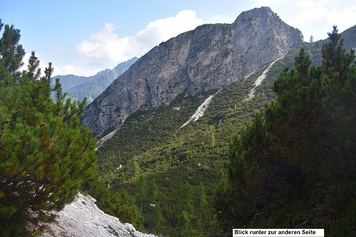 Klicke auf die Grafik für eine vergrößerte Ansicht

Name: DSC_0165.jpg
Ansichten: 289
Größe: 854,8 KB
ID: 3354912