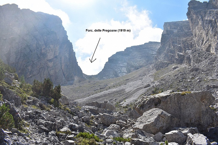 Klicke auf die Grafik für eine vergrößerte Ansicht

Name: DSC_0168.jpg
Ansichten: 287
Größe: 912,5 KB
ID: 3354914