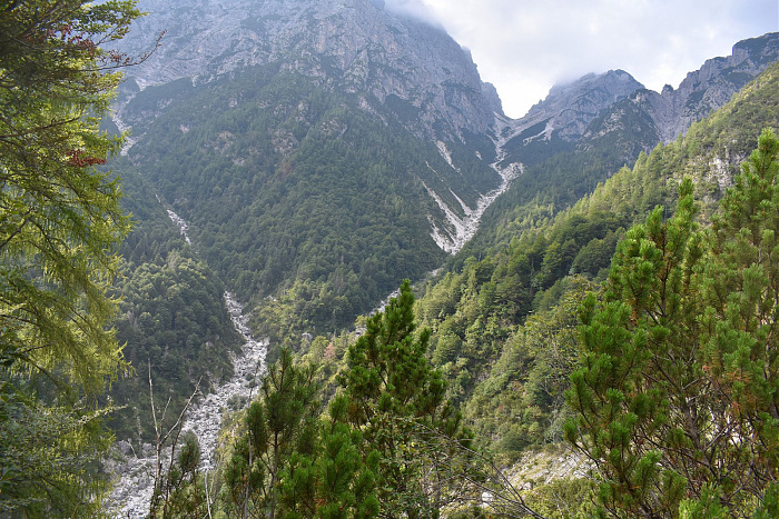 Klicke auf die Grafik für eine vergrößerte Ansicht

Name: DSC_0194.jpg
Ansichten: 291
Größe: 1,09 MB
ID: 3354917