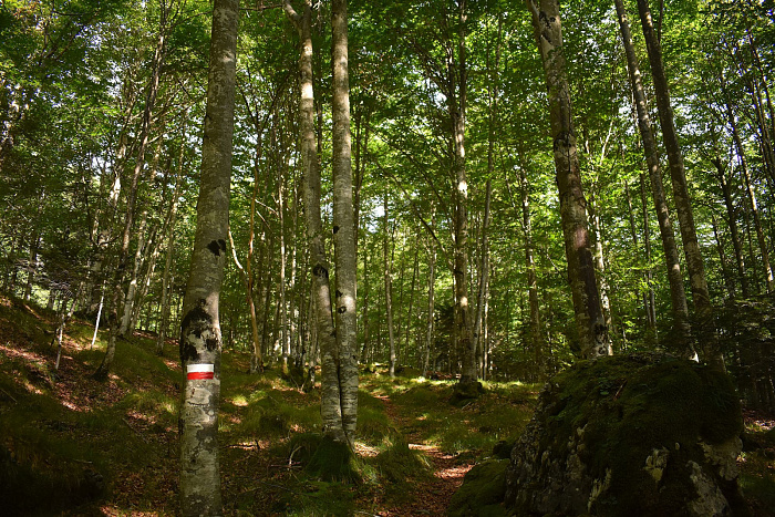 Klicke auf die Grafik für eine vergrößerte Ansicht

Name: DSC_0193.jpg
Ansichten: 293
Größe: 1,26 MB
ID: 3354919