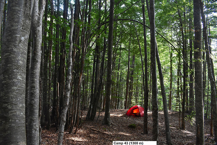 Klicke auf die Grafik für eine vergrößerte Ansicht

Name: DSC_0197.jpg
Ansichten: 292
Größe: 1,16 MB
ID: 3354920