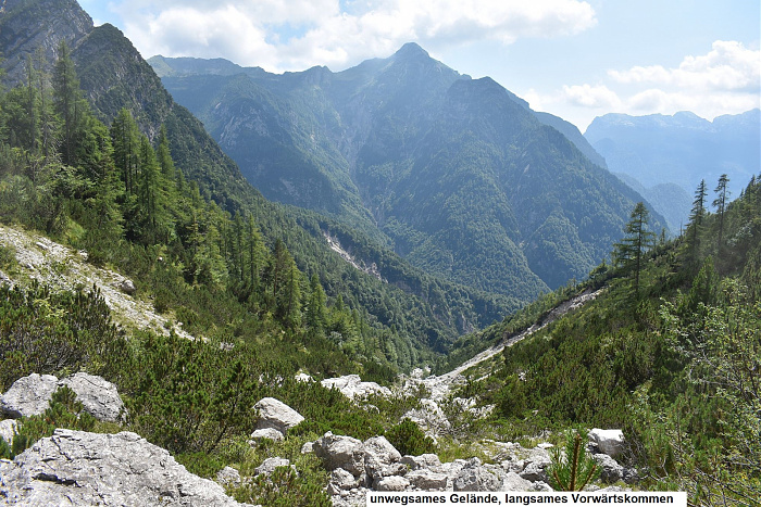 Klicke auf die Grafik für eine vergrößerte Ansicht

Name: DSC_0187.jpg
Ansichten: 290
Größe: 1,03 MB
ID: 3354922